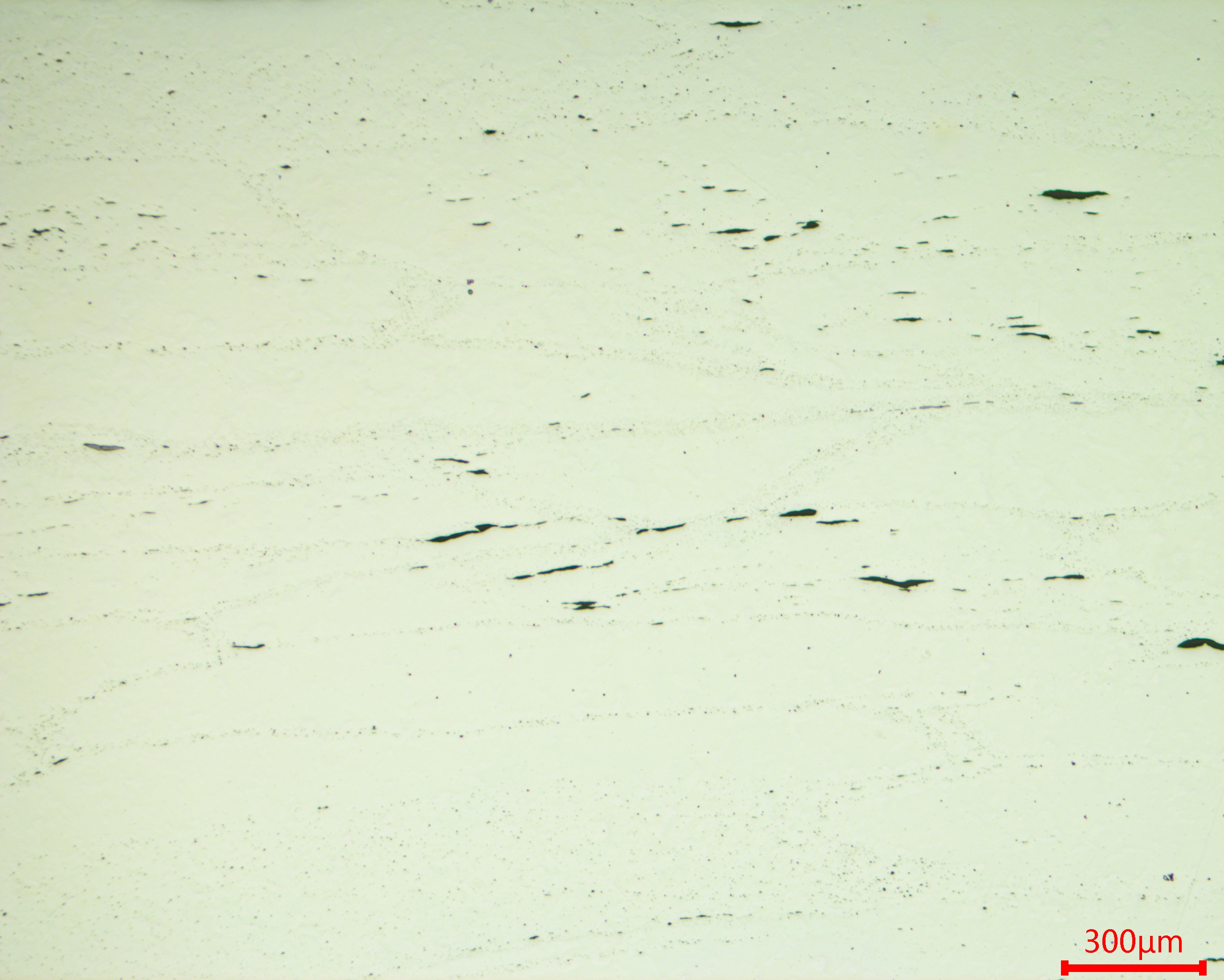 Inclusions and Oxides