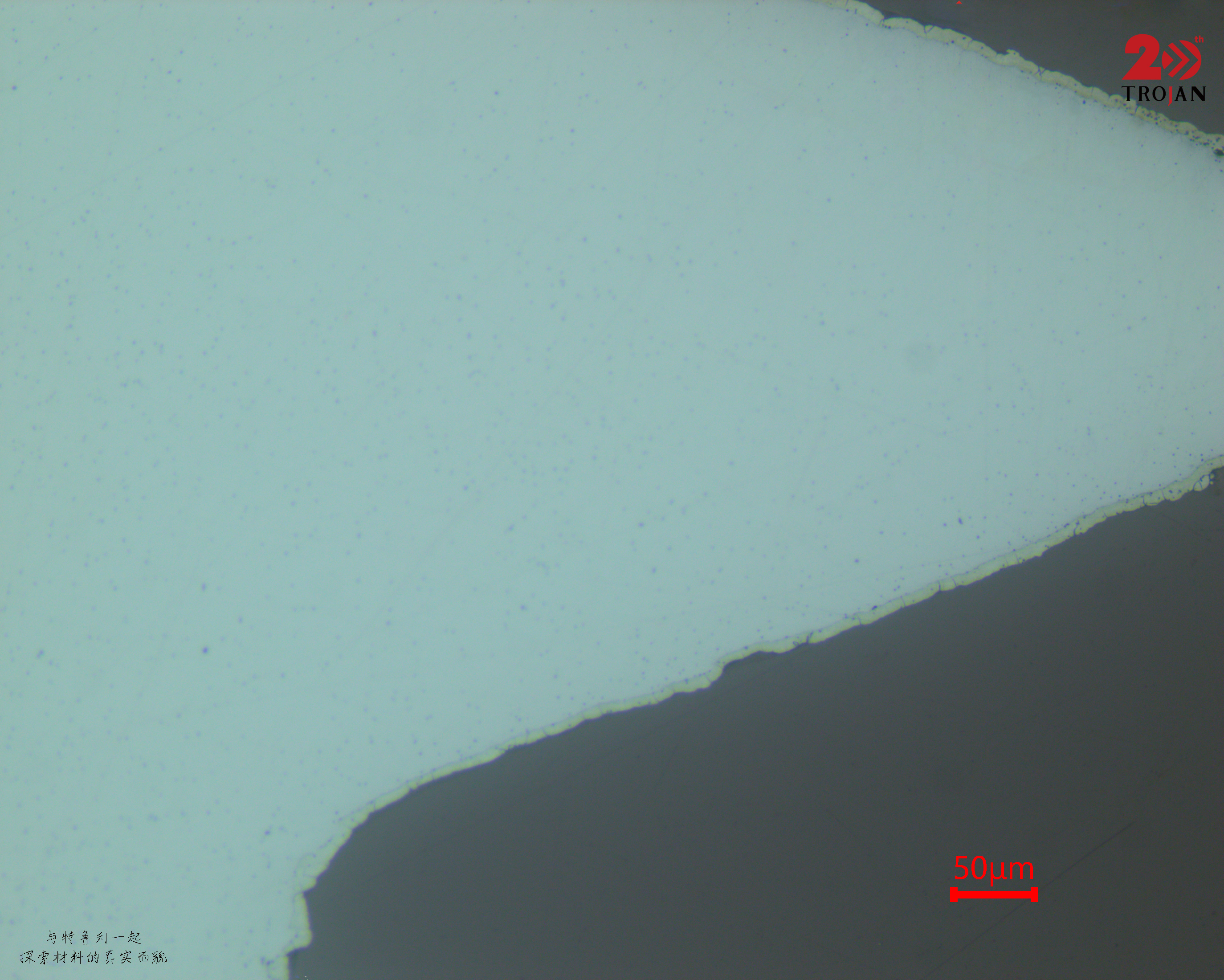 Nitrided fastener microstructure 2